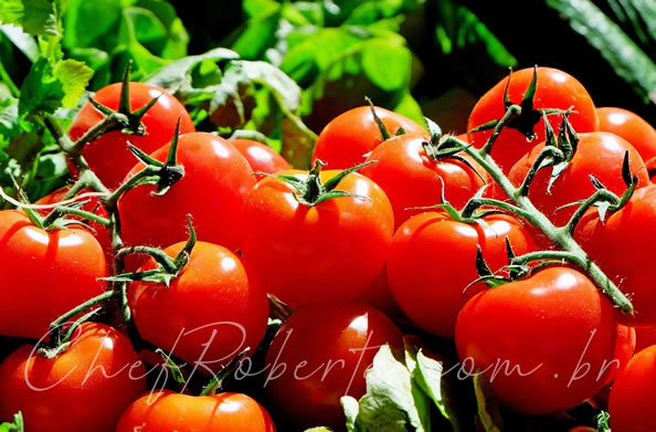 Plant Tomatoes